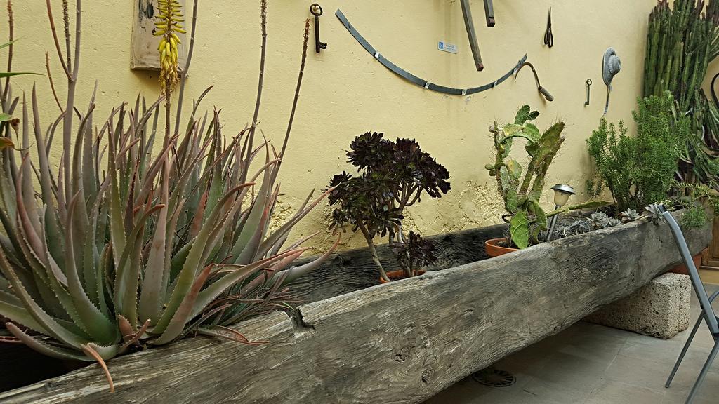 Casa Rural El Traspatio Granadilla De Abona Zewnętrze zdjęcie